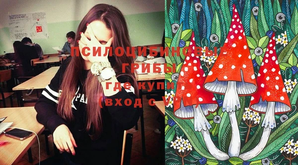 спайс Верея
