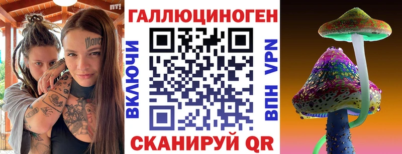площадка телеграм  Черногорск  Псилоцибиновые грибы Cubensis 