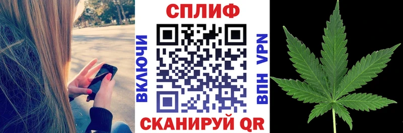 купить наркоту  Черногорск  Канабис THC 21% 